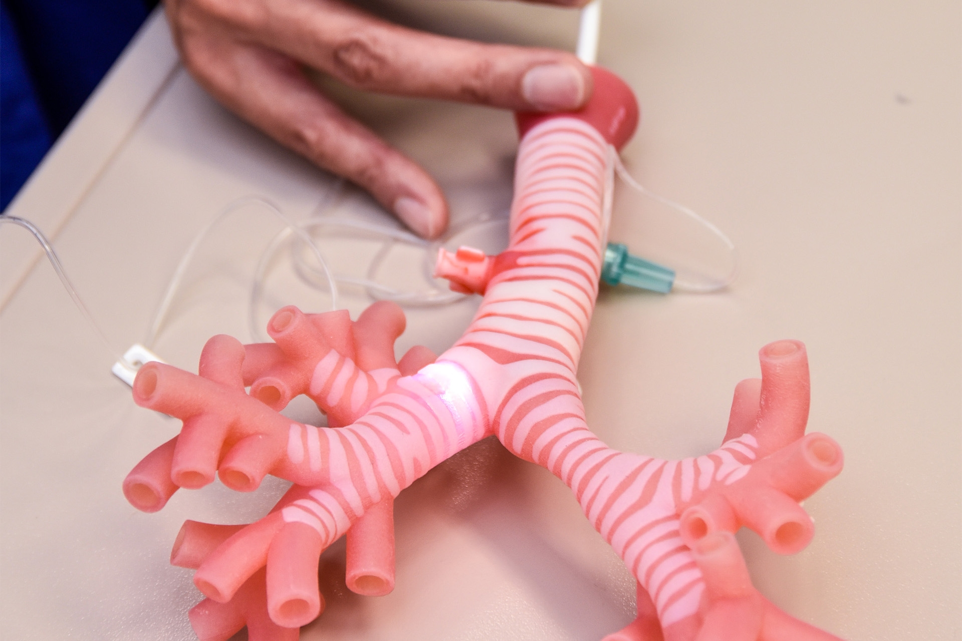 Anaesthetist performing simulated bronchoscopy.